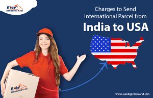 Parcel from India to USA